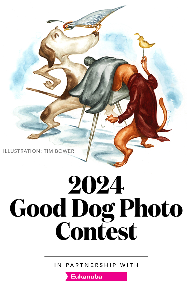 G&G’s 2024 Good Dog Photo Contest