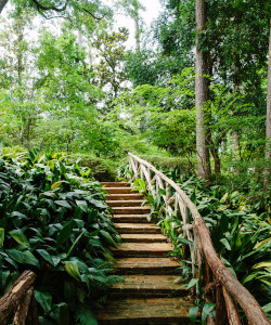 stairway