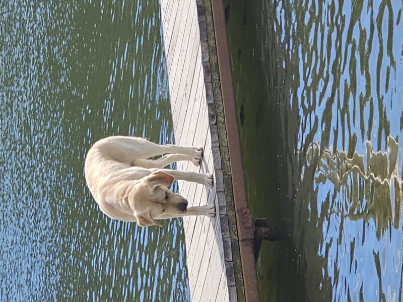 Gunnar