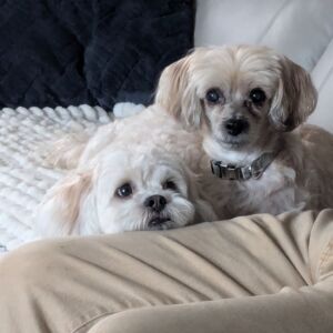 Gracie & Zoey