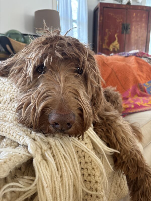 Bosun