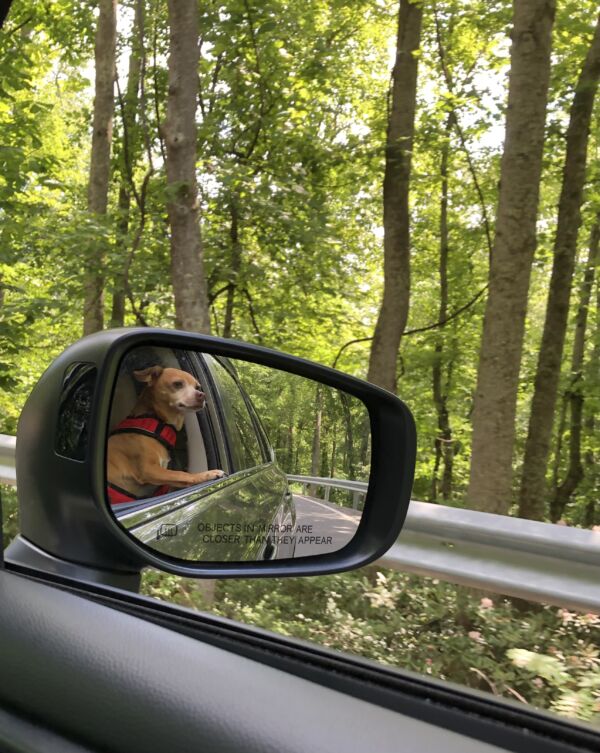 Roscoe
