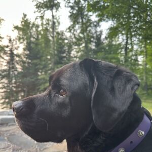 Ruby