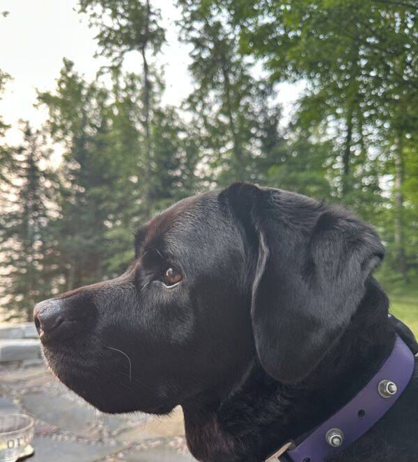 Ruby