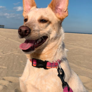 Winnie