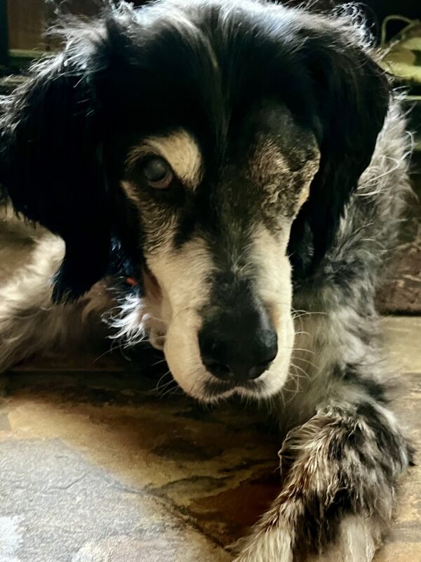 Maxine (Max)