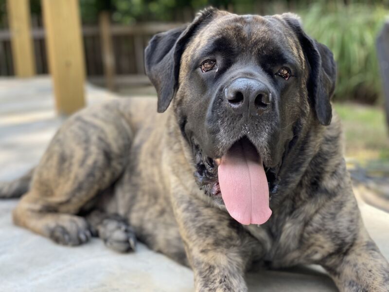 Ellie