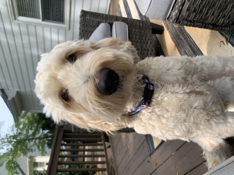 Riley