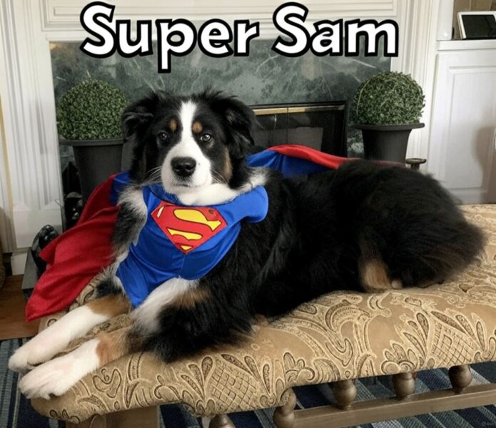 Sam