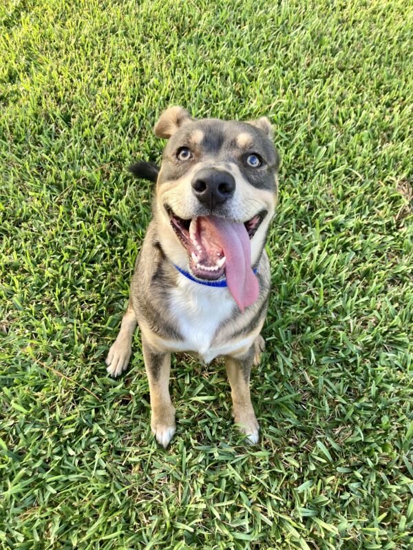 Benny