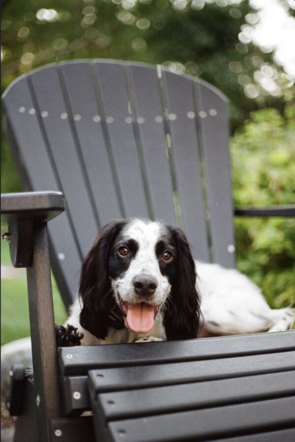 Finley