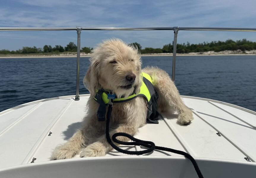 Finnegan