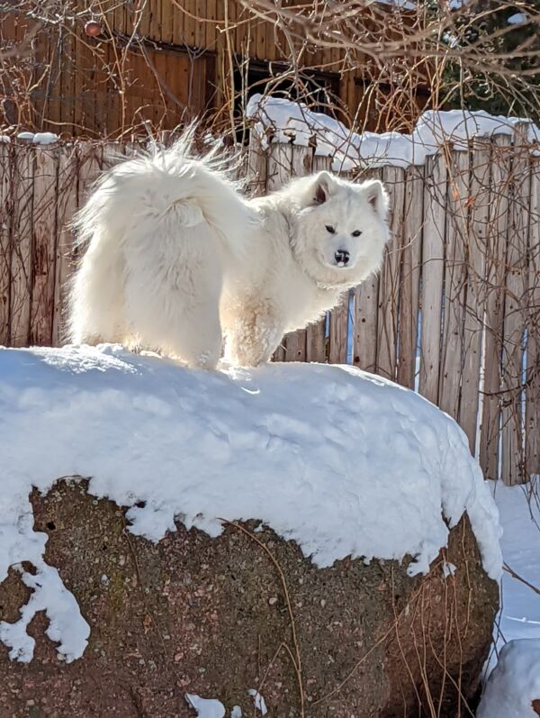 Miska