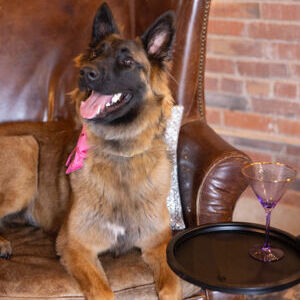Gracie Roo