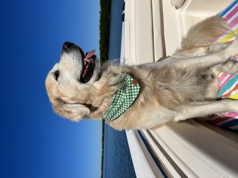 Cooper