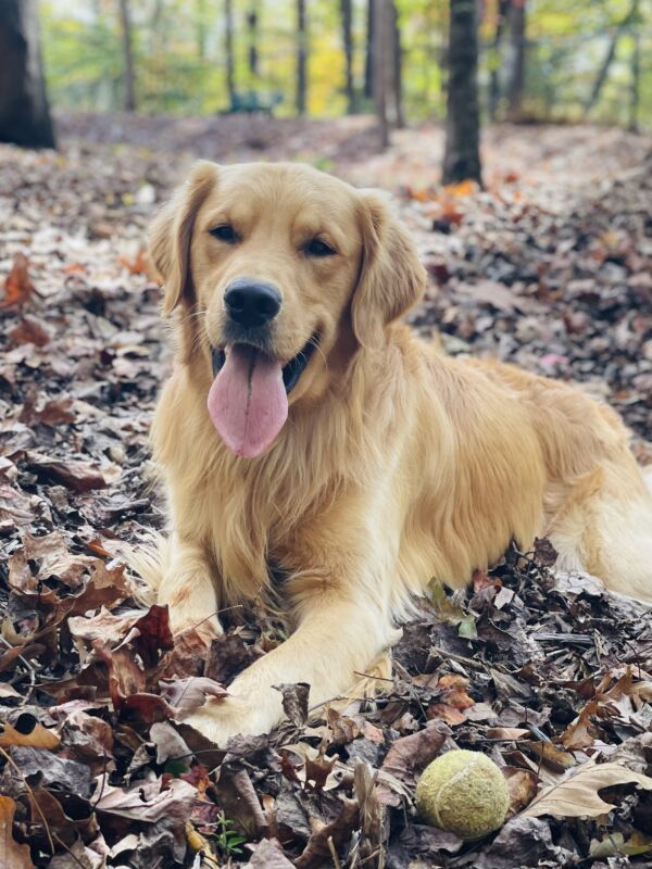 Tucker