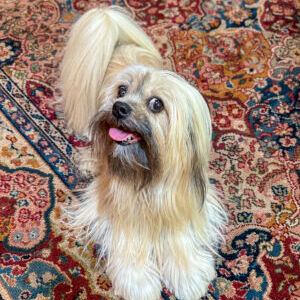 Lucy