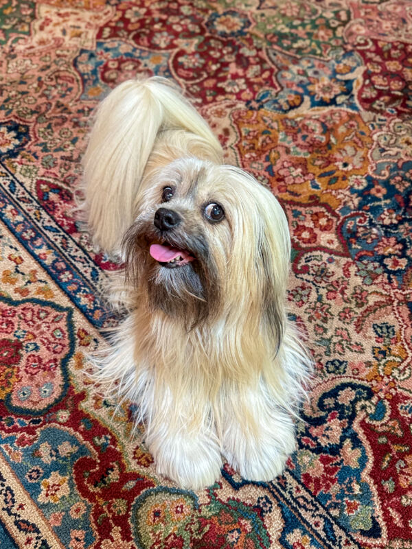 Lucy