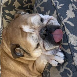 Baxter