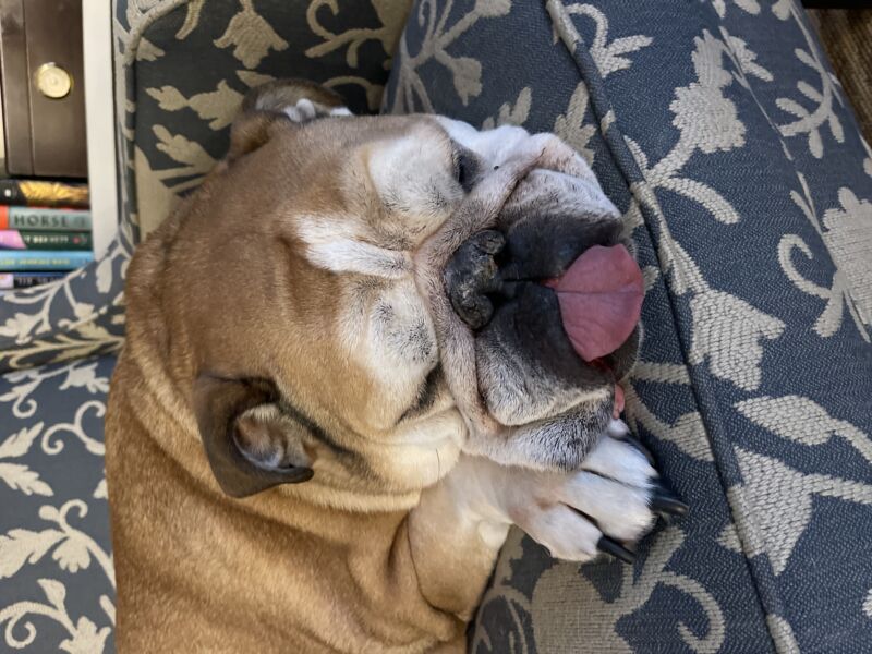 Baxter