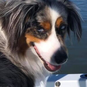 Molly
