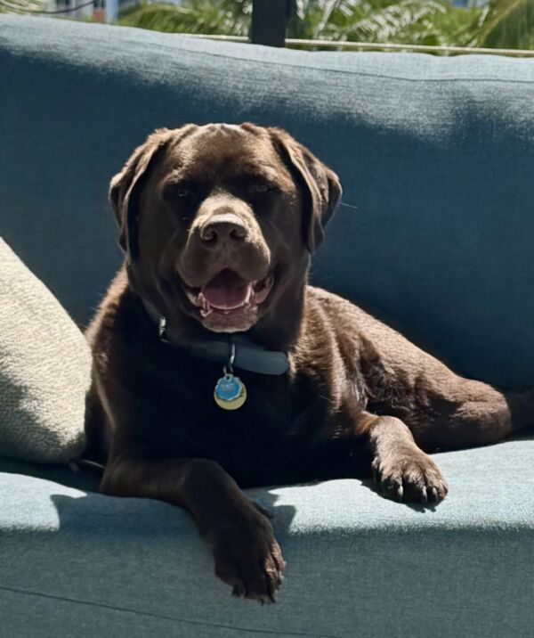 Roscoe