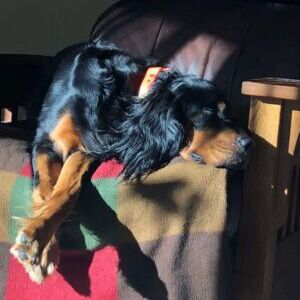 Maggie