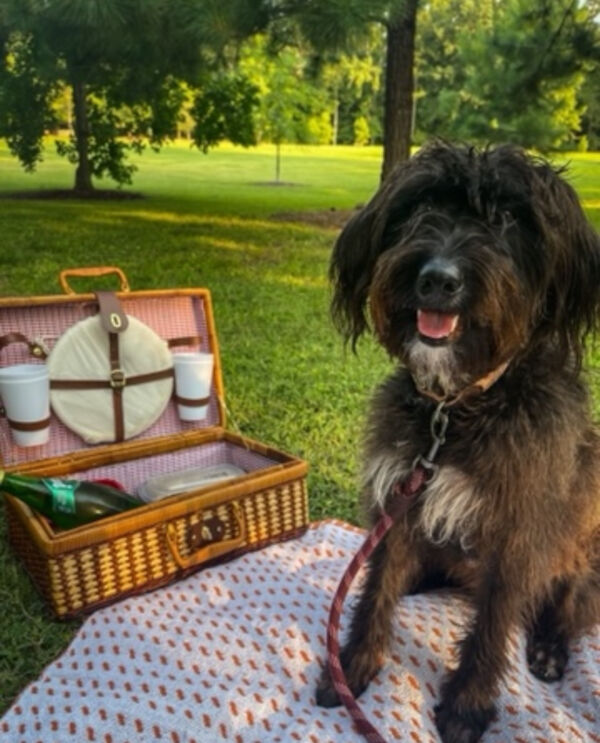 Pippa