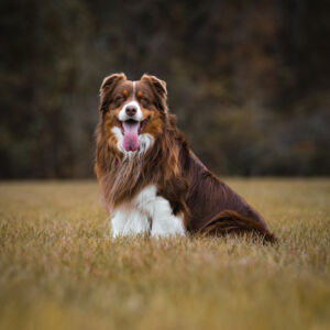 Flynn