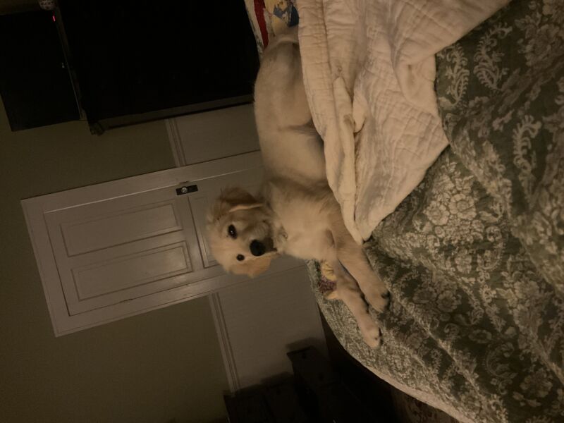 Jack