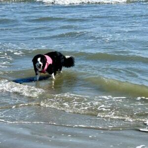 Molly
