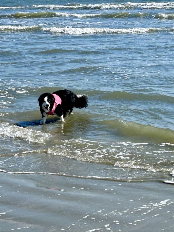 Molly