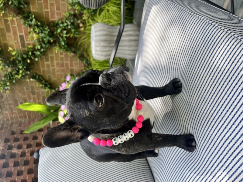 Ella