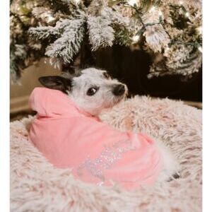 Dolly