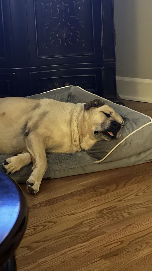 Otis