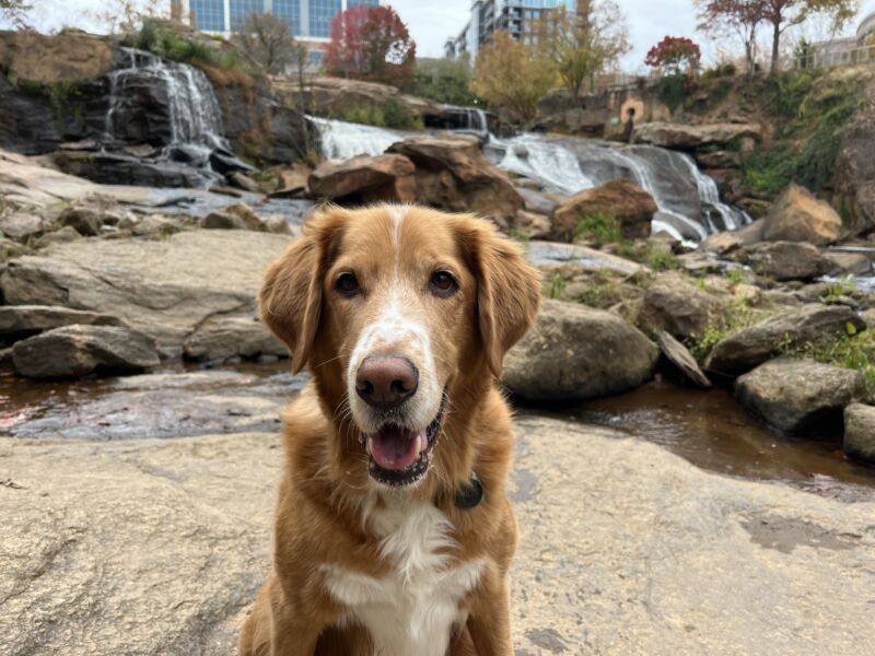 Bailey