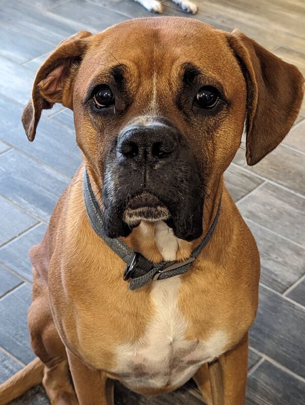 Oscar Wieners