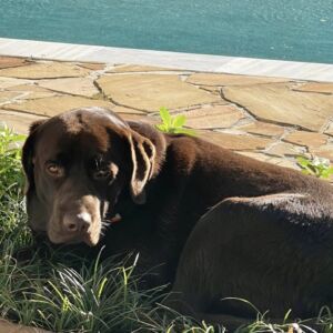 George