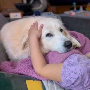 Suki
