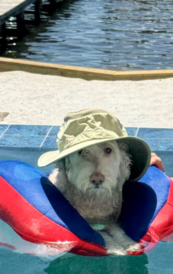 Cooper