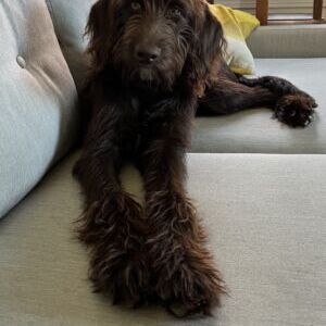 Charlie