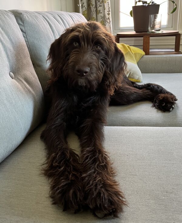 Charlie