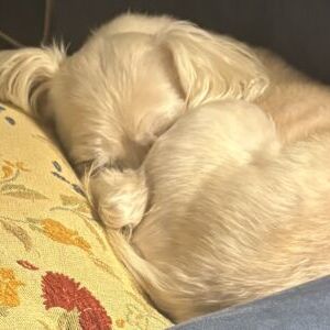 Millie