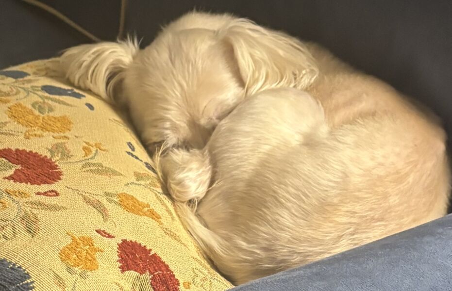 Millie