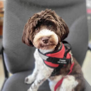 Cooper