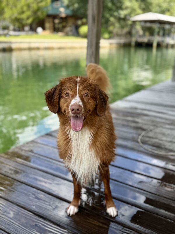 Millie Belle