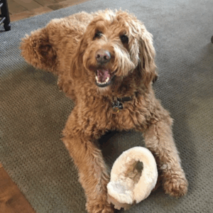Cooper