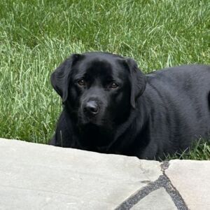 Molly