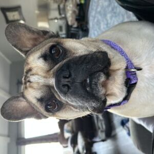 Buster Tyson