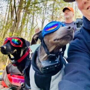 Scout and Koda